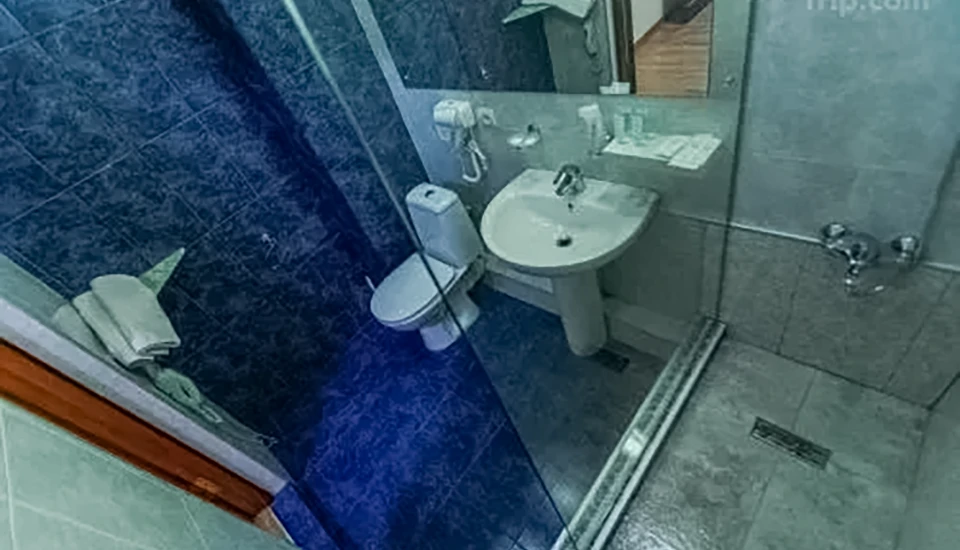 هتل پینو وره پالاس تفلیس